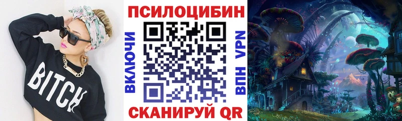 маркетплейс состав  Заозёрск  Псилоцибиновые грибы прущие грибы 